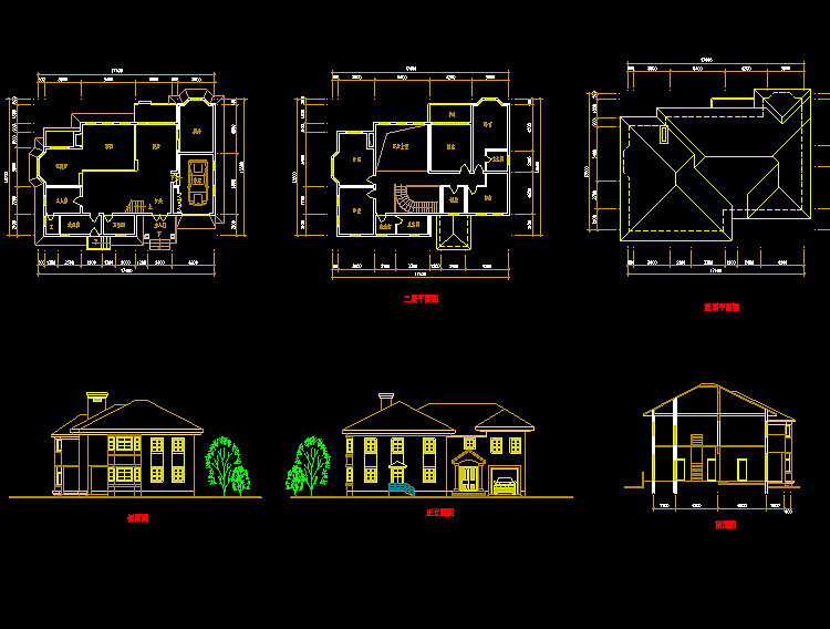 室内带游泳池的别墅设计CAD施工图方案