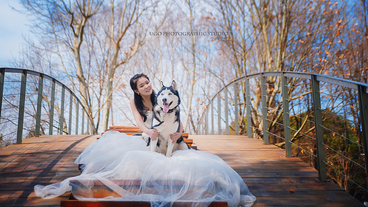 The sounds of silence【动物摄影师何某某个人作品6】（图ZNDQ2NjE3MjQ=） - 宠物摄影 - 站酷设计师超级何某某原创素材 - 站酷ZCOOL