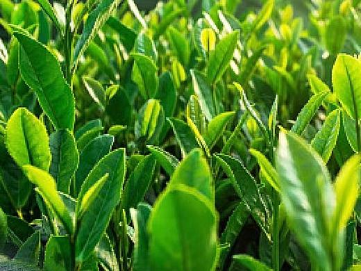 房产节日节气海报