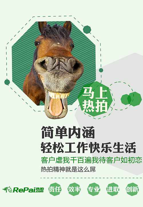 动物 平面 企业文化 企业精神 KT板 