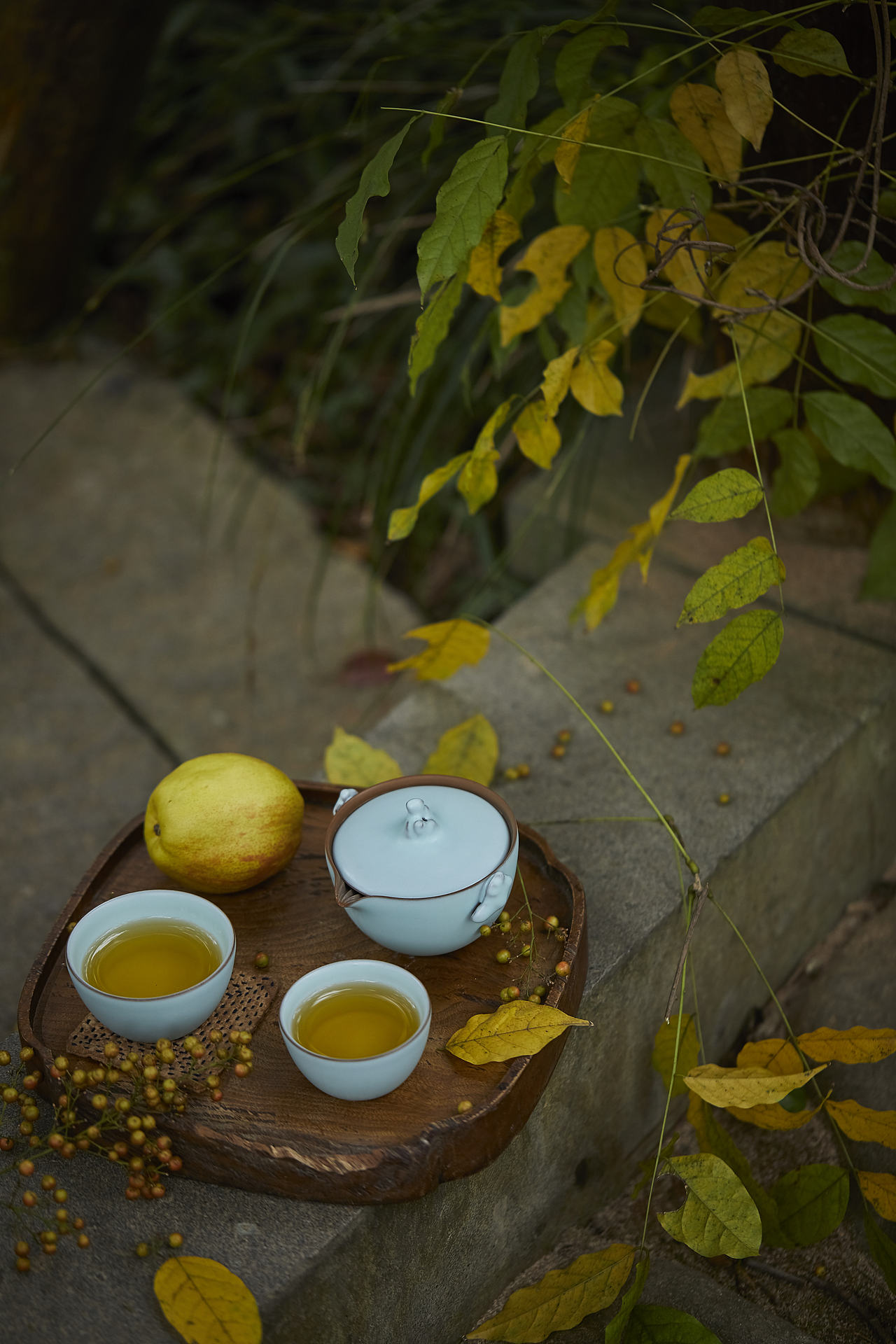 器皿|万仟堂茶具