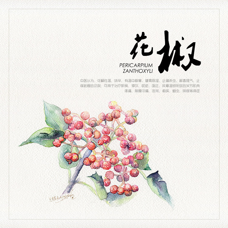 水彩香料系列(一)