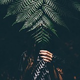 Lonely_Exiles的头像