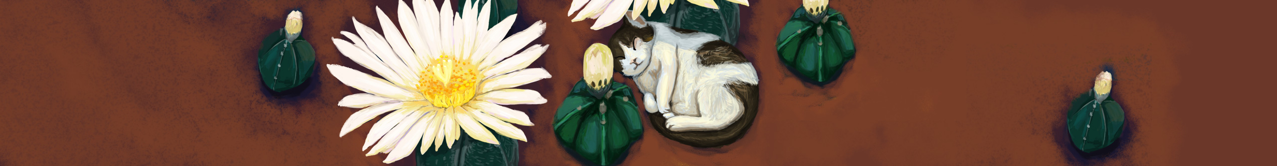 Alithops的个人主页（封面预览） - 主页封面设置 - 站酷设计师Alithops原创素材 - 站酷ZCOOL