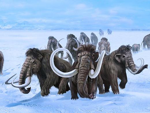 一些PS合成（个人主页-ZMzg3NDc2NDQ=） - 概念设定 - 站酷设计师一品玄铁原创素材 - 站酷ZCOOL