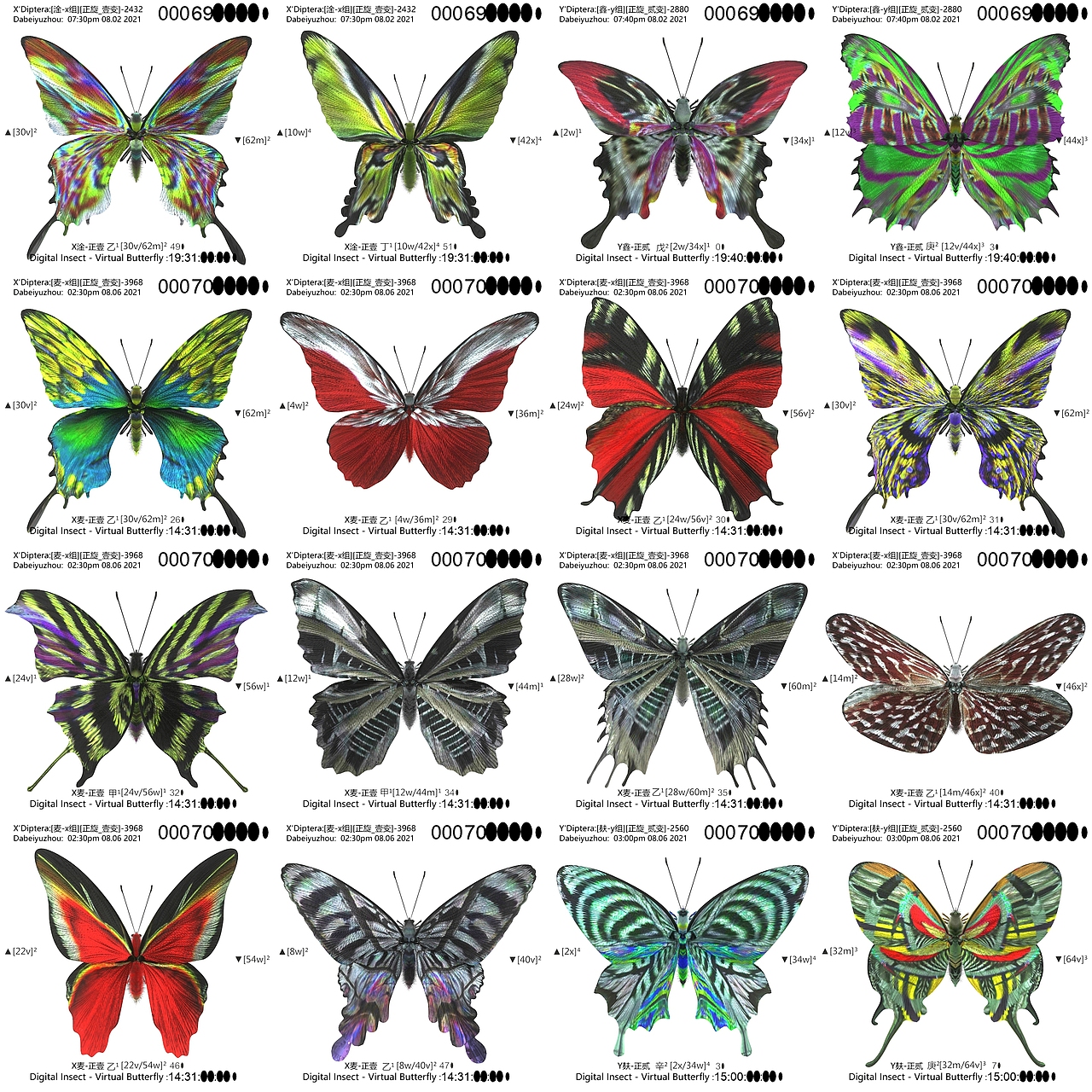 用互联之网捕捉虚拟蝴蝶