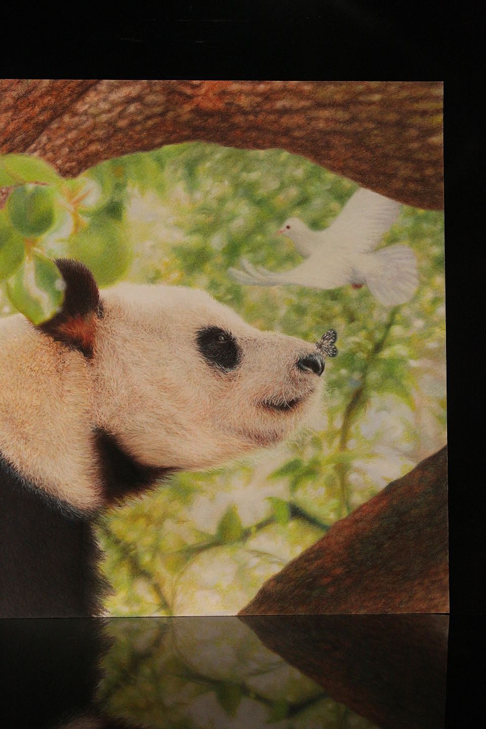 大熊猫和它的小伙伴们