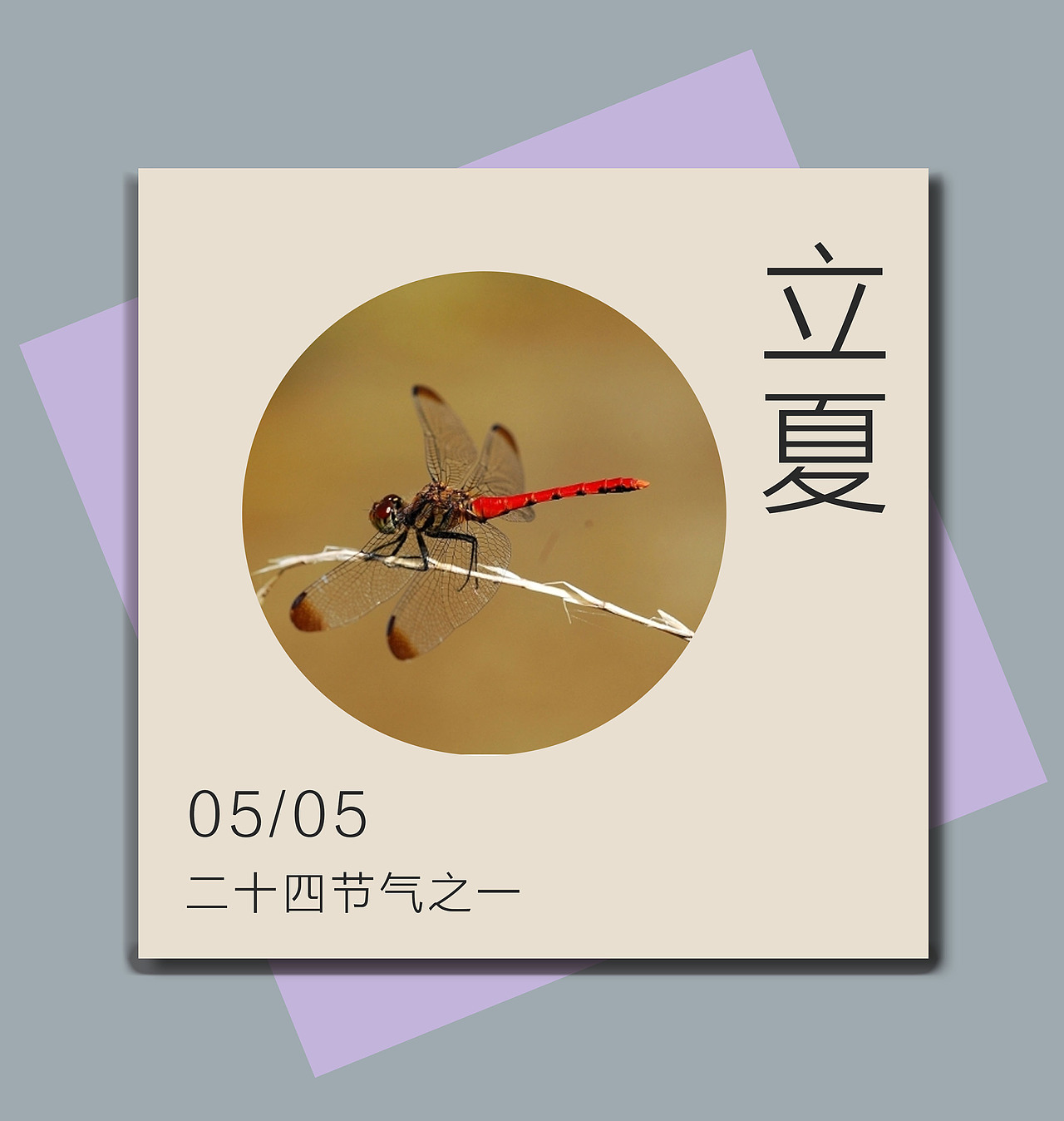 二十四节气（图ZOTg0MDc0NjQ=） - 其他平面 - 站酷设计师陈陈陈大锤原创素材 - 站酷ZCOOL