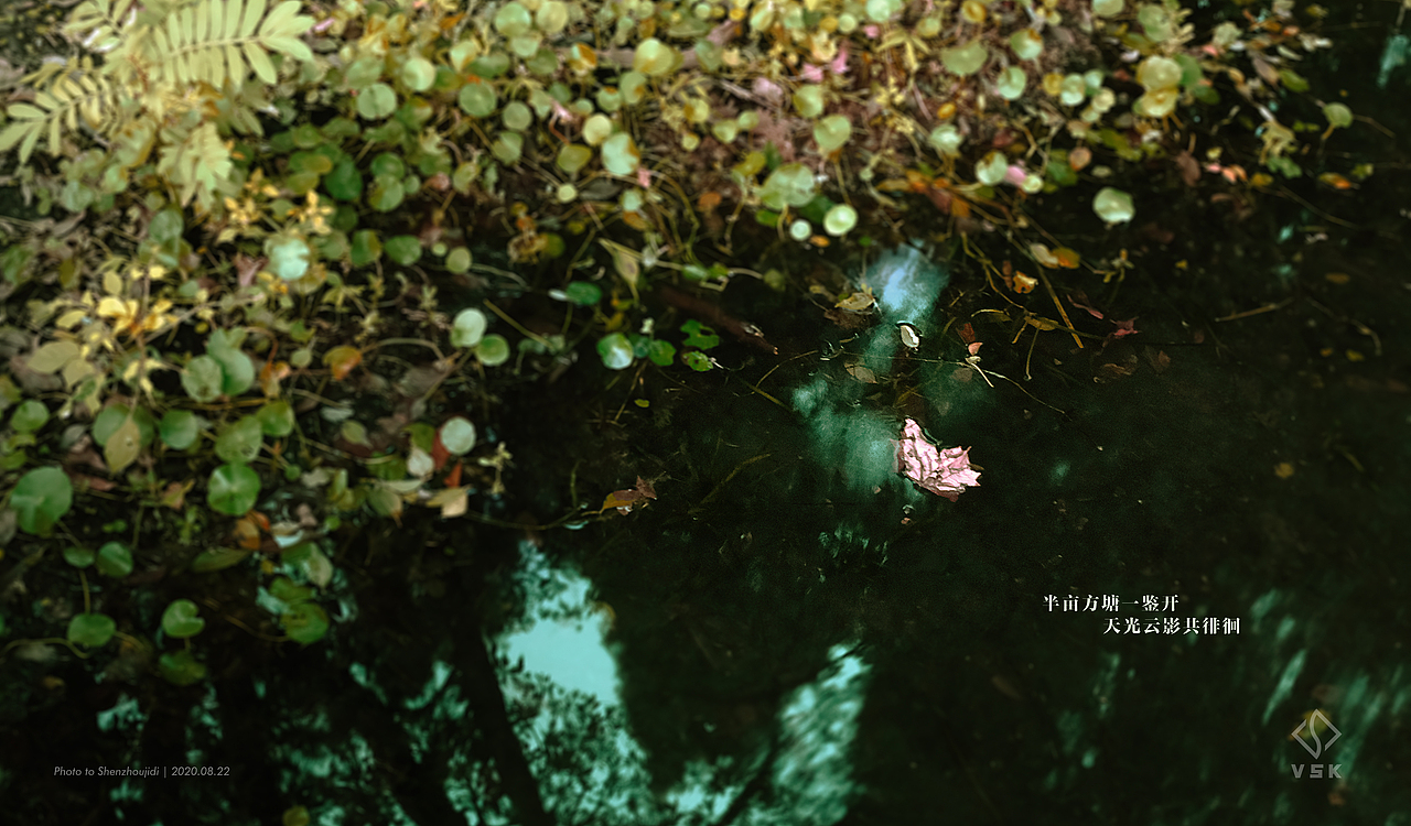 连夜拍日出而不得