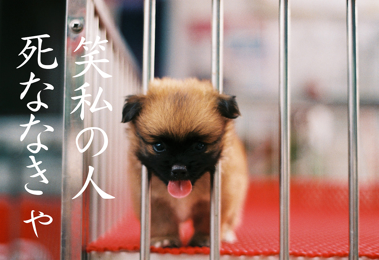吴熙玮和他的胶片