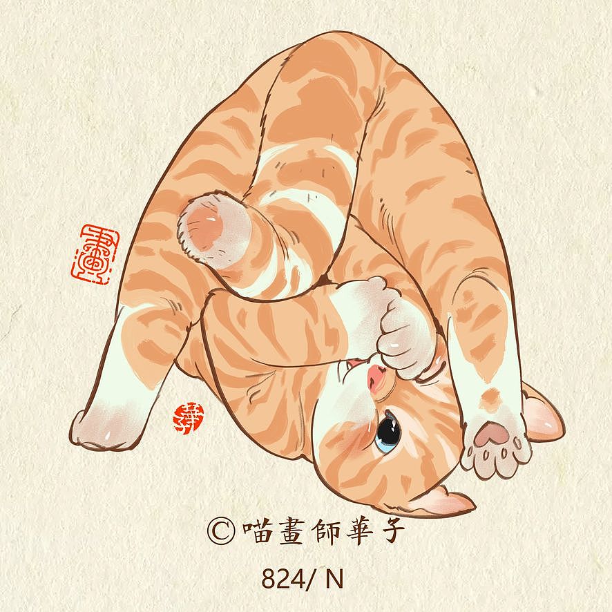 画猫的第三季150天,837天的画猫纪录