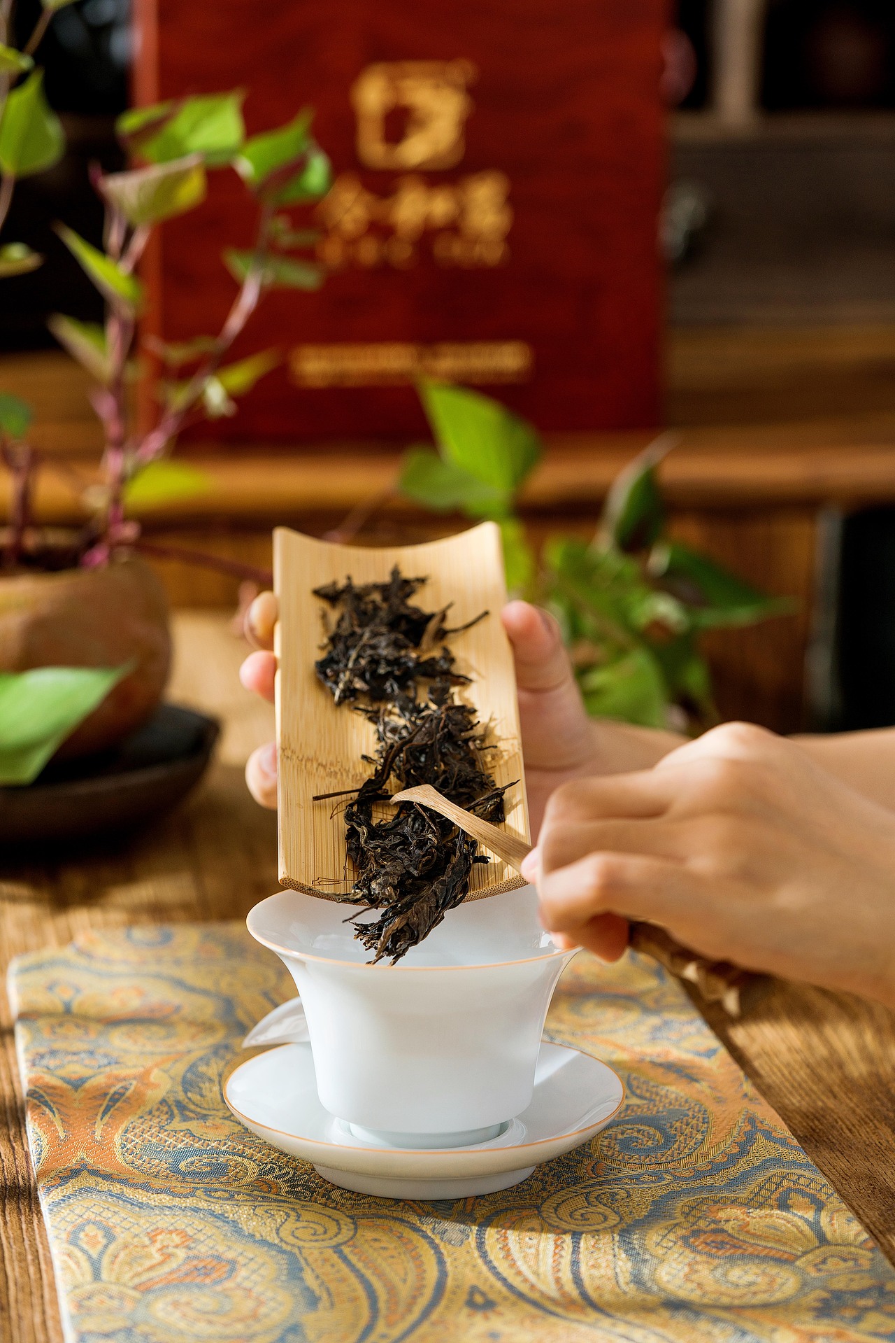 夏 | 茶 静物摄影 行气如虹 普洱茶（图ZMjE0Njk2MTA0） - 产品摄影 - 站酷设计师摄影师大桂原创素材 - 站酷ZCOOL
