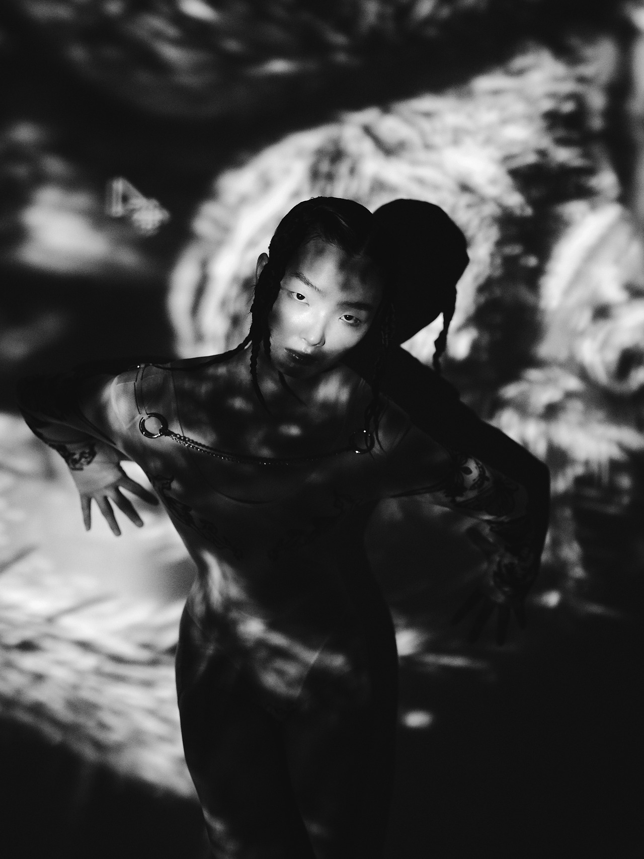 Animal World 动物世界)