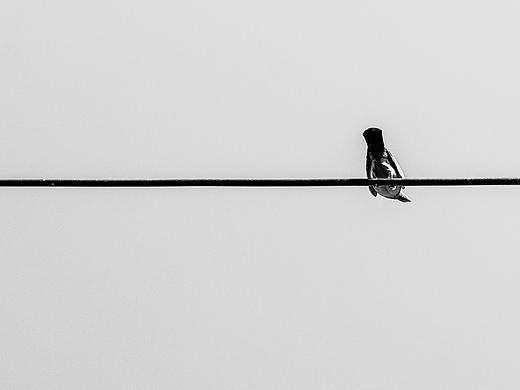 “逃跑的画面”（个人主页-ZNTgzMjk3MDQ=） - 人文/纪实摄影 - 站酷设计师可能是罐头原创素材 - 站酷ZCOOL