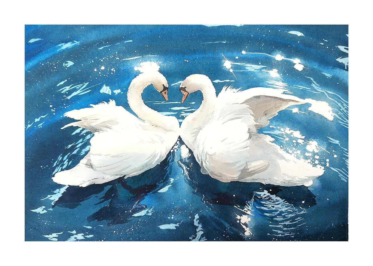 水彩天鹅