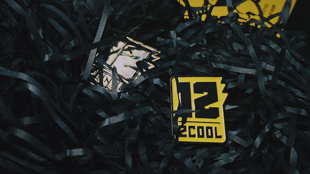 站酷 X Pinleader 限定联名12周年纪念徽章