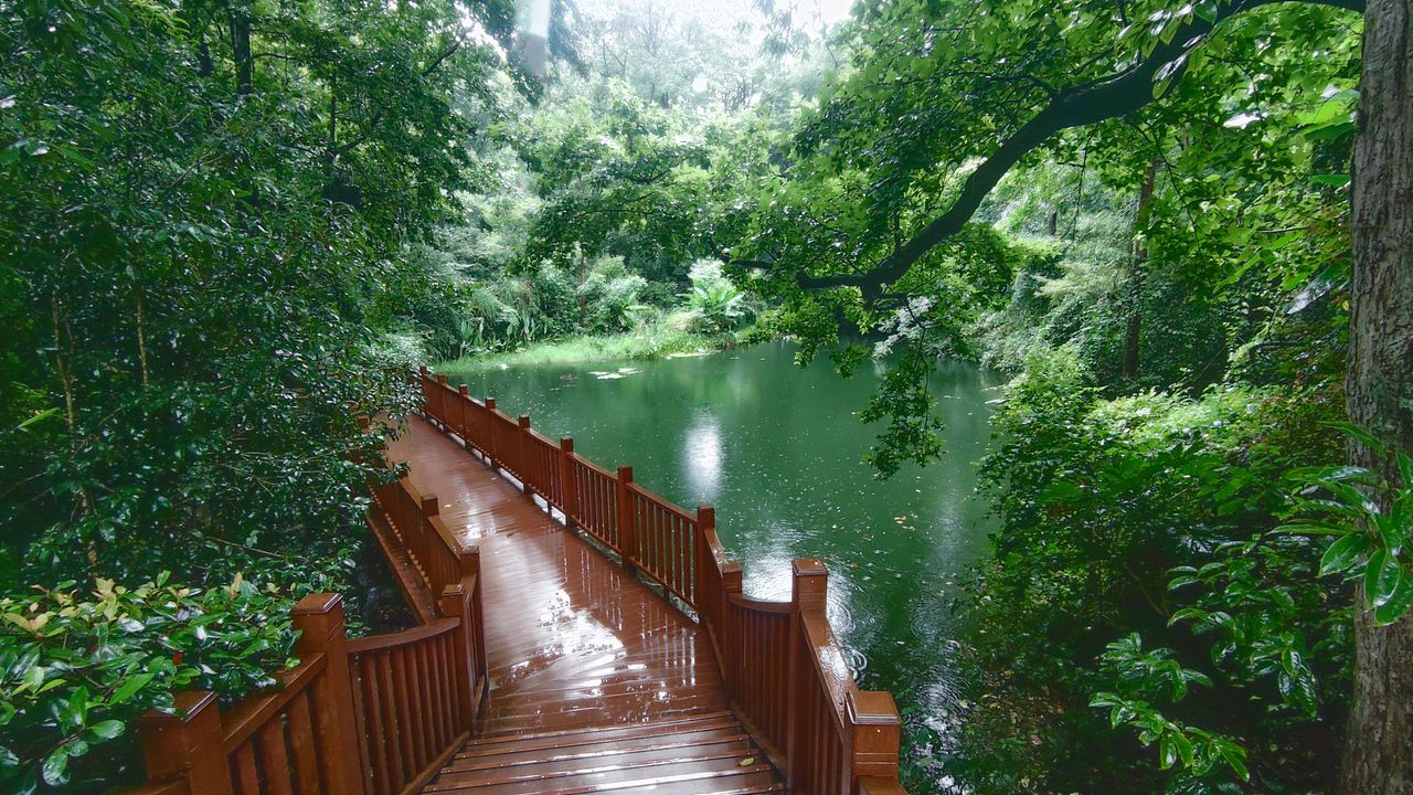 3年（图ZMzYxNzkzNjg4） - 风光摄影 - 站酷设计师木糖醇饕餮原创素材 - 站酷ZCOOL