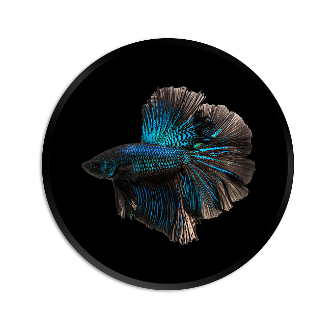 【JIEN ARTS集恒工艺】深圳##装饰画##室内装饰#（图ZMTE1OTgwODg4） - 家装设计 - 站酷设计师深圳集恒工艺品原创素材 - 站酷ZCOOL