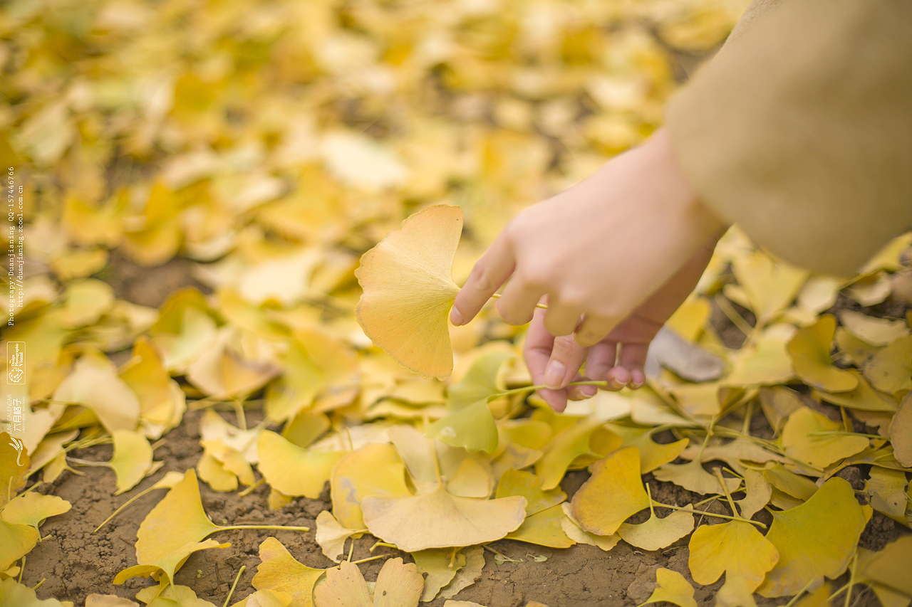 银杏（图ZMzY2NzYzOTY=） - 人像摄影 - 站酷设计师段老法师原创素材 - 站酷ZCOOL