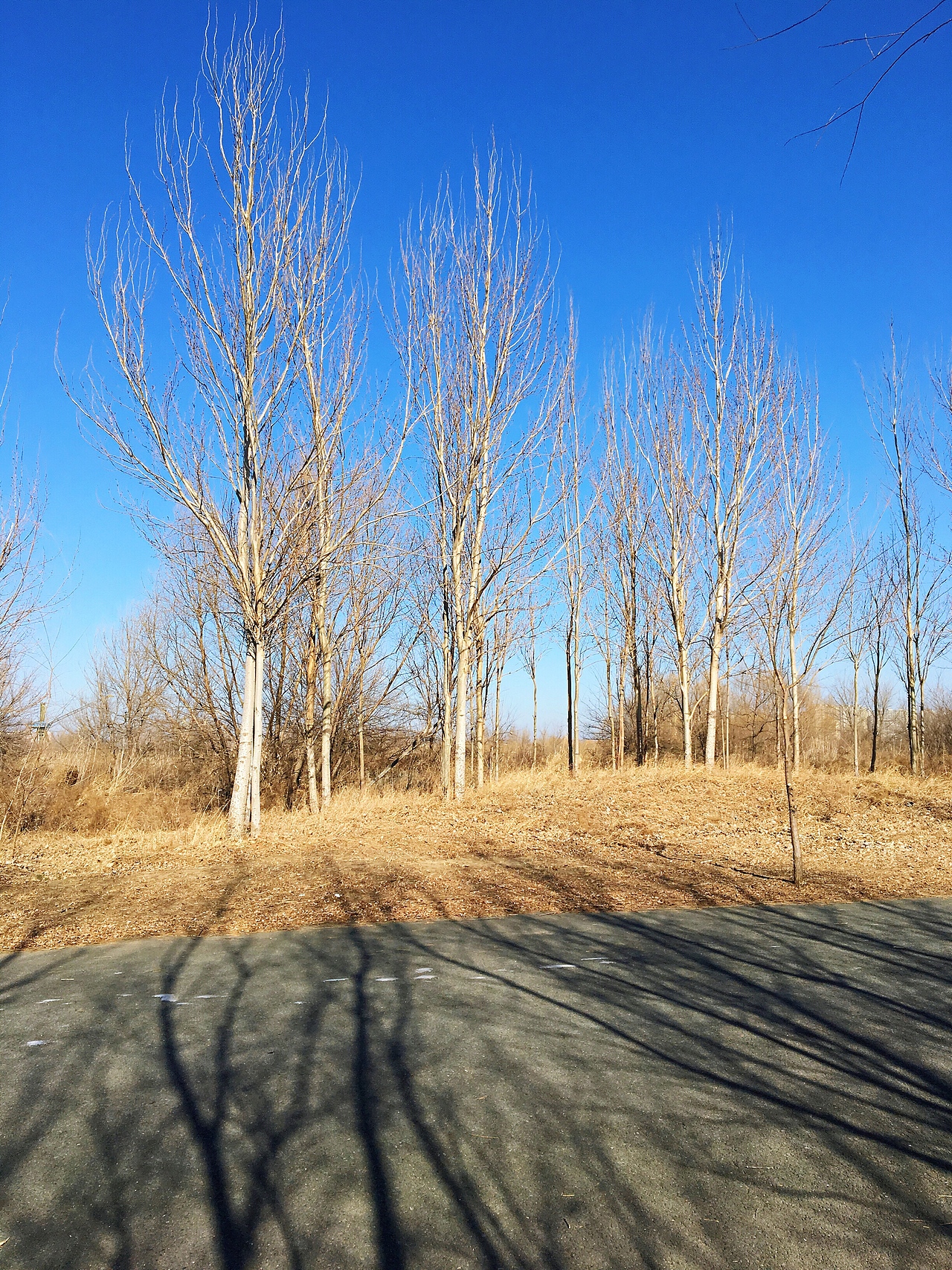 休闲（图ZMTk0OTEyNDgw） - 风光摄影 - 站酷设计师Ourlandisrichinb原创素材 - 站酷ZCOOL