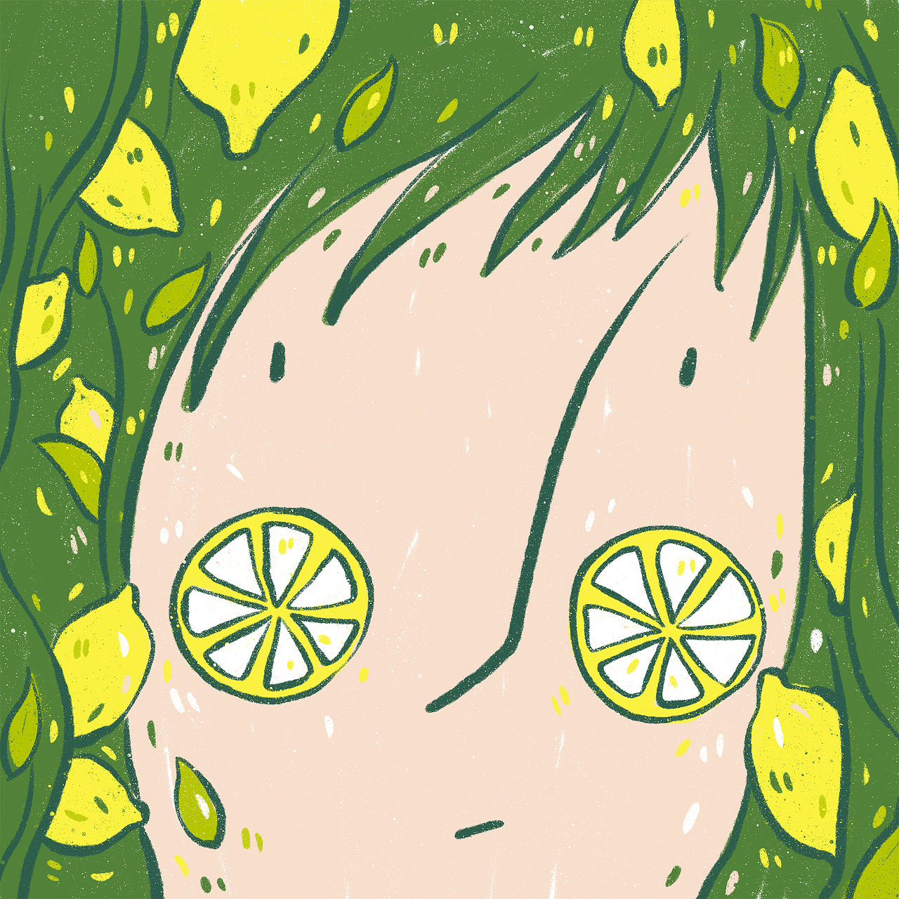 柠檬精的一些产品