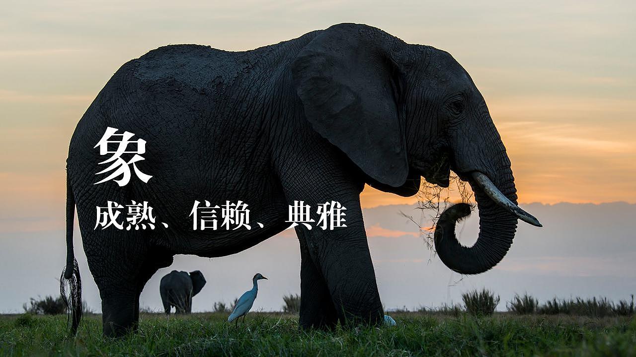 金融机构logo设计（图ZMTI3MjY3NDI4） - 品牌 - 站酷设计师Spring2015原创素材 - 站酷ZCOOL