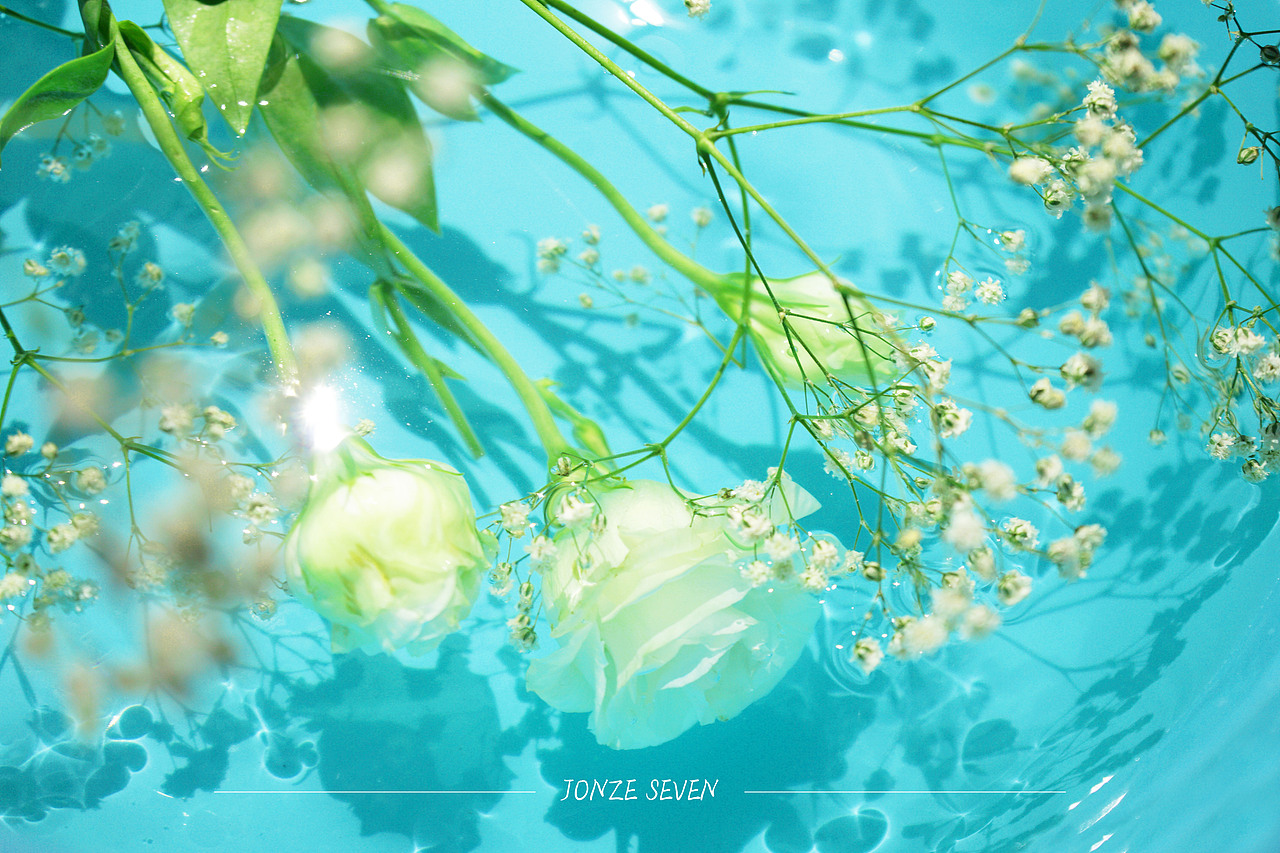 摄影-【摧毁/ 玫瑰】（图ZMTY2NzQ5MjMy） - 产品摄影 - 站酷设计师姓薛了不起啊定饿原创素材 - 站酷ZCOOL