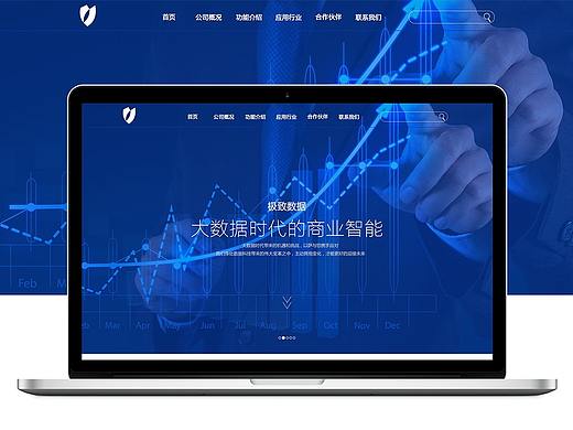 大数据企业网站