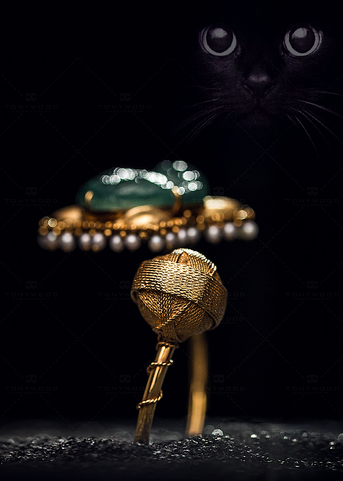 静物摄影 | 荣.CV珠宝原创代表作品X2（图ZMTM2MzM1ODM2） - 产品摄影 - 站酷设计师ANLAU原创素材 - 站酷ZCOOL