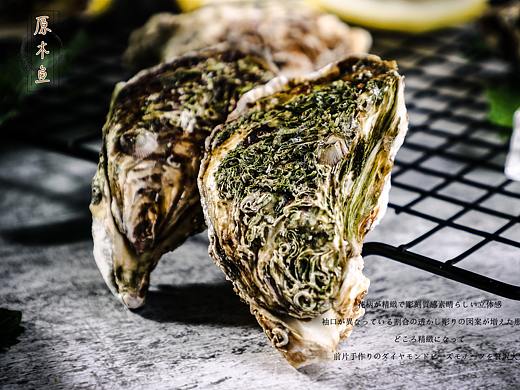 海鲜烧烤生蚝拍摄