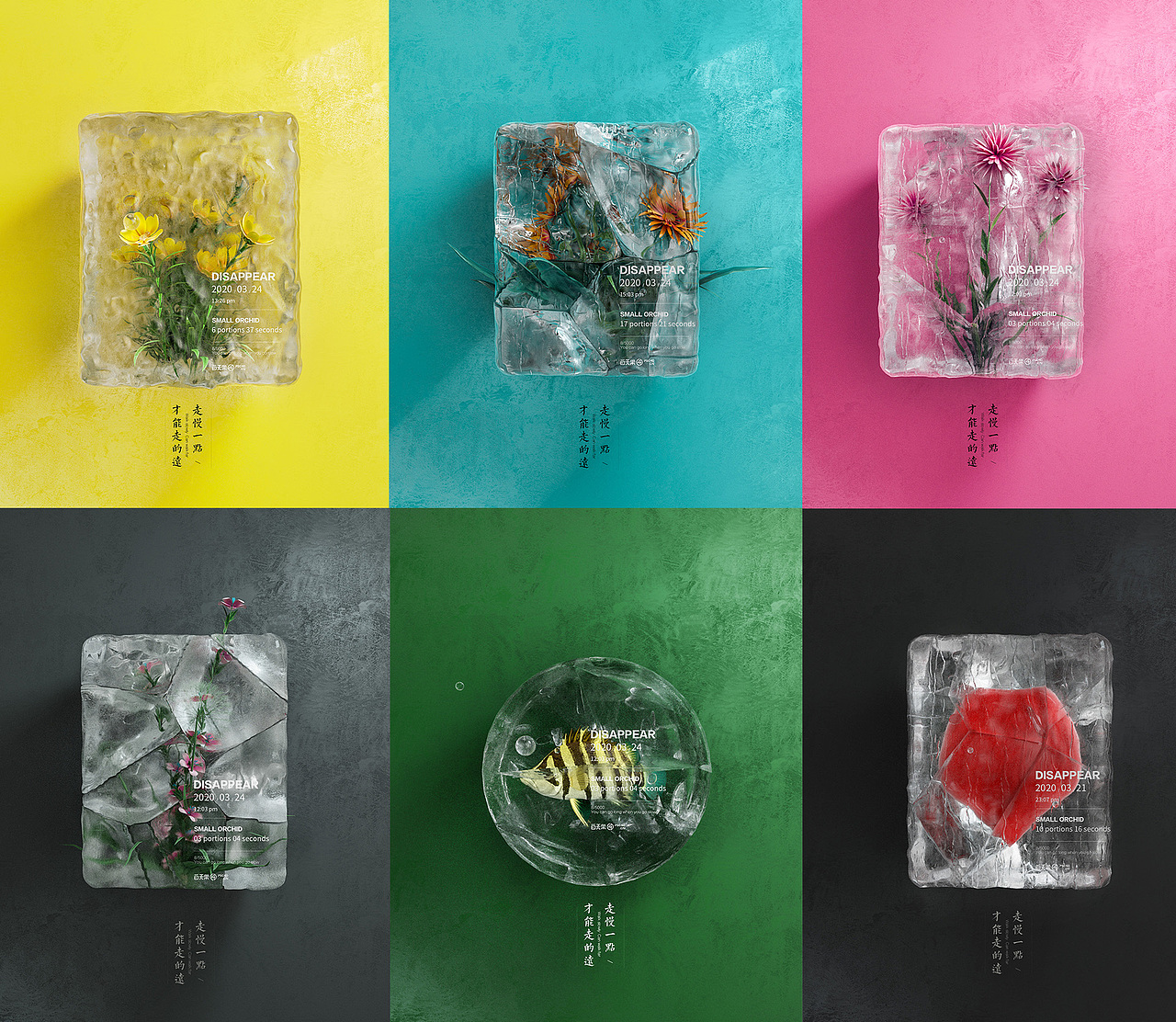 遇见美好【C4D冻结的花草】（图ZMjAxOTUzMDcy） - 其他三维 - 站酷设计师白无常C4D原创素材 - 站酷ZCOOL