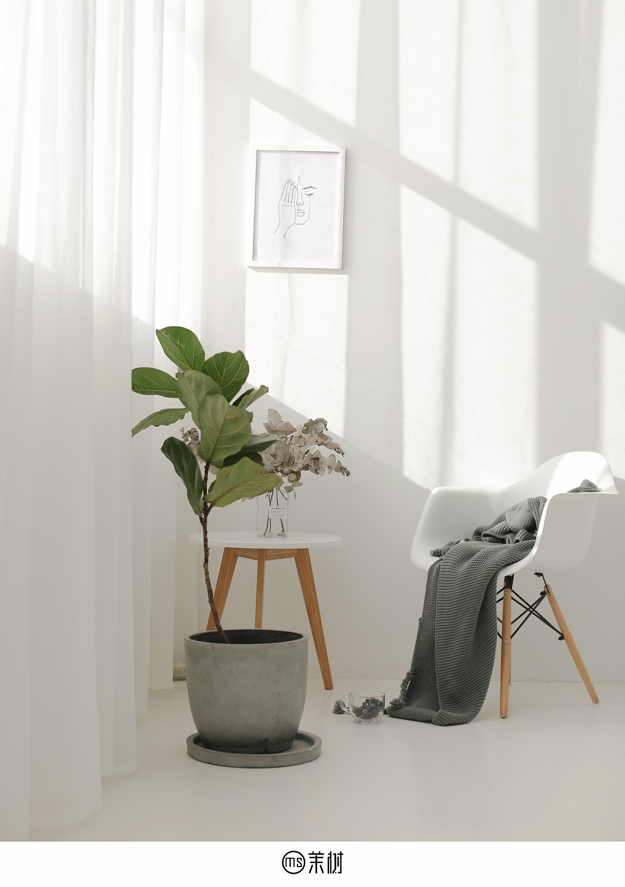 影棚照 自然光拍摄