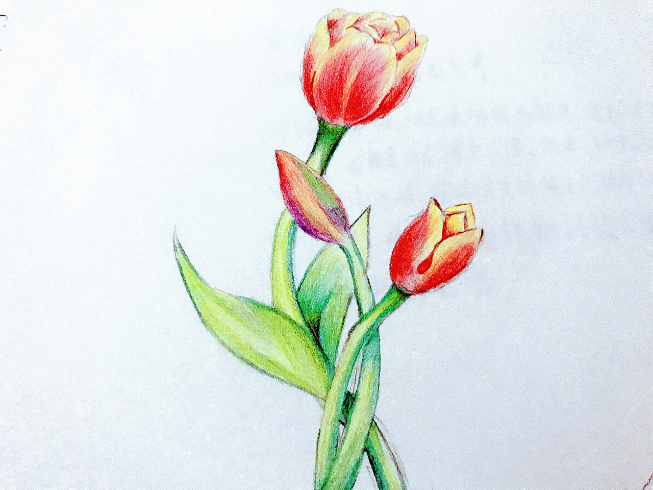 手绘（图ZOTgzNjk1MDg=） - 其他 - 站酷设计师祸祸宝贝原创素材 - 站酷ZCOOL