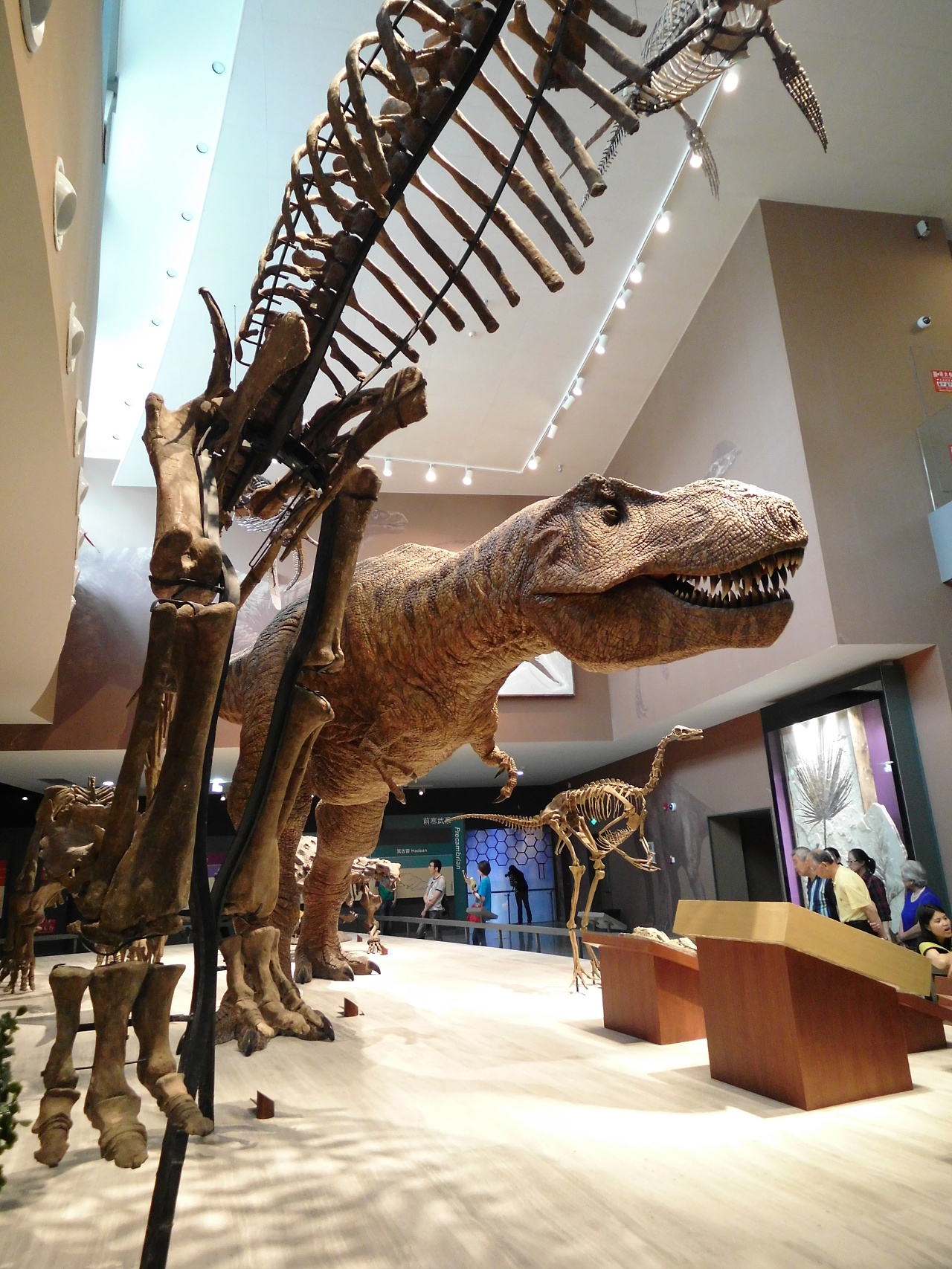 【摄影多图】上海自然博物馆一日游