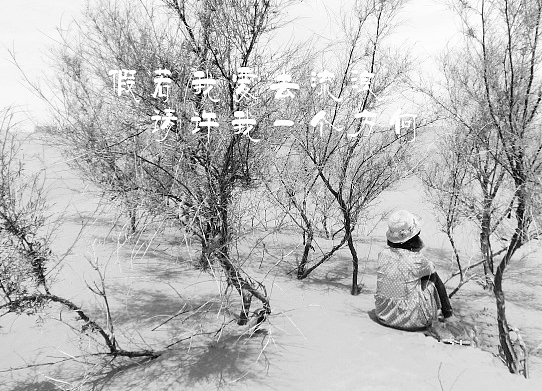 第三视角——心中的远方（图ZMjM4MjMyOTY=） - 风光摄影 - 站酷设计师张范原创素材 - 站酷ZCOOL