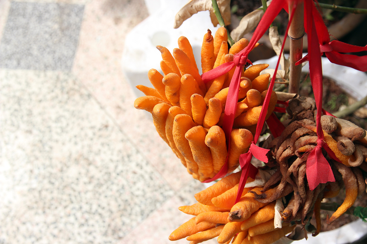 佛手（图ZMjA0NzUxODIw） - 产品摄影 - 站酷设计师风陵师太原创素材 - 站酷ZCOOL