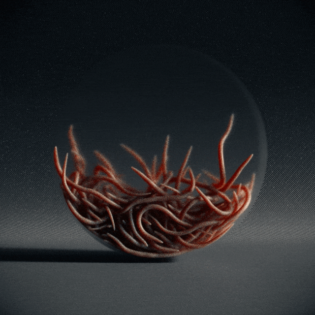 2021年C4D实验合集