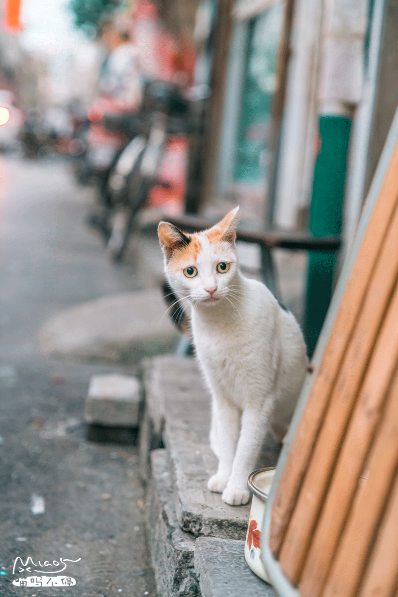 嗯,隔壁家肯定又做鱼了~