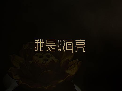 我是海亮字体设计logo