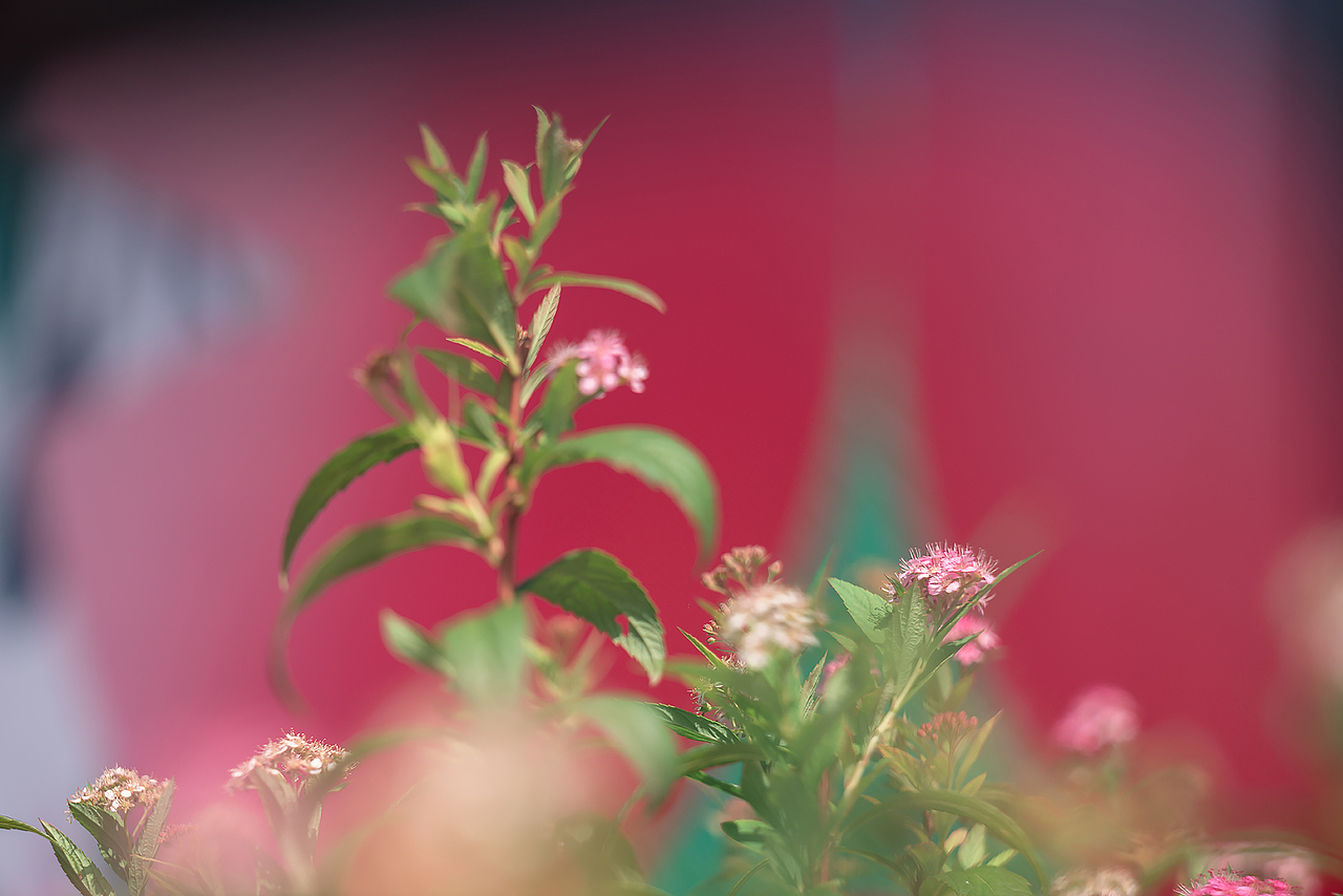 《要有光》（图ZMzA5OTYyNTc2） - 风光摄影 - 站酷设计师Alex1205原创素材 - 站酷ZCOOL