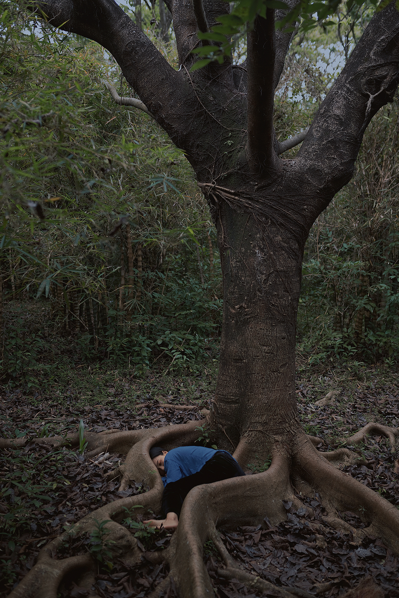 每個人都是孤島 渴望被依靠（圖ZMTU3Nzc3Mzk2） - 人像攝影 - 站酷設(shè)計師林視界原創(chuàng)素材 - 站酷ZCOOL