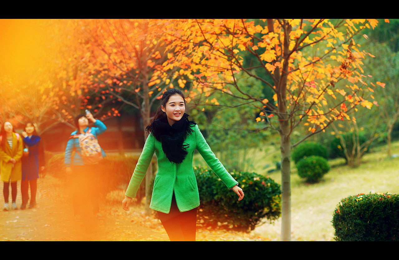 幺四的最后一片枫叶