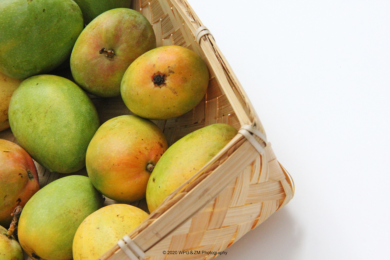 《 HELLO · JULY 》