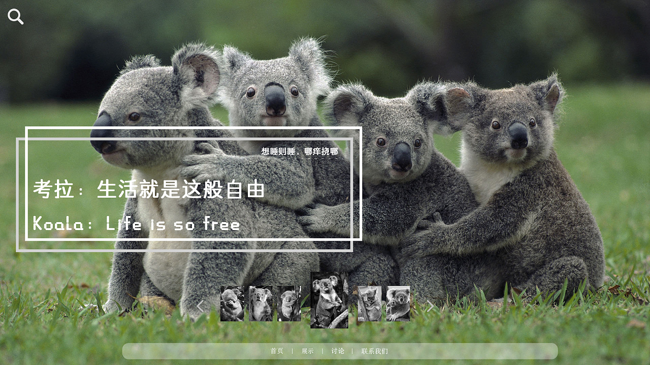 考拉网站首页|网页|个人网站\/博客|王王王王文怡