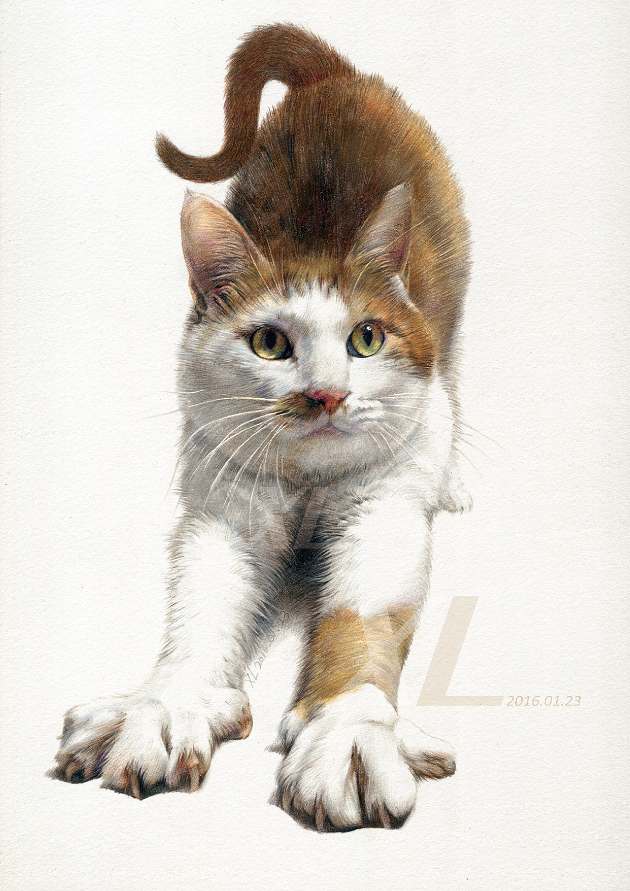 彩铅画－这里有50只喵星人（图ZNDkyMDIwMDA=） - 绘画 - 站酷设计师祥雷原创素材 - 站酷ZCOOL