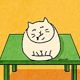 lazycat002的头像