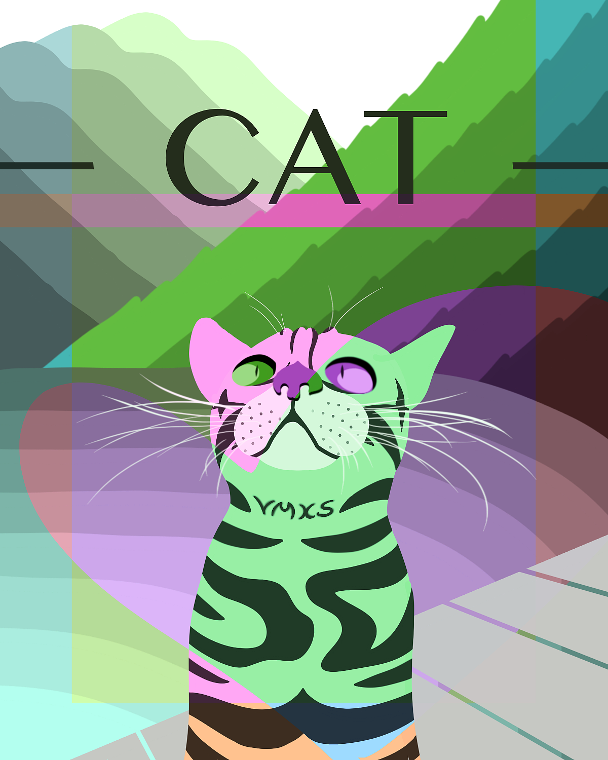 190715-作业-宠物