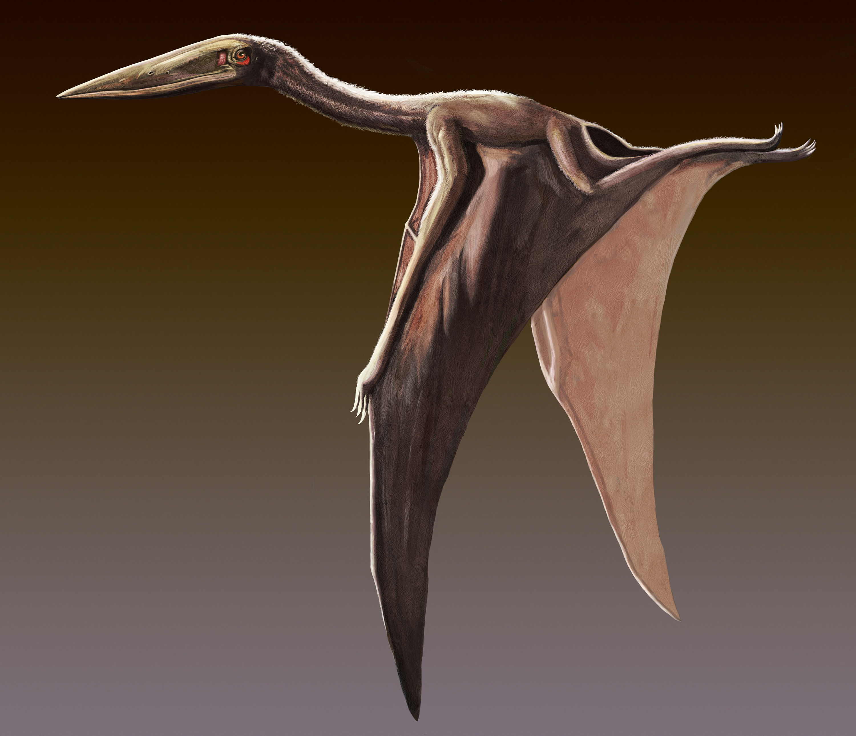 翼龙来袭|插画|游戏原画|ms概念设计 - 原创作品 - 站酷 (zcool)