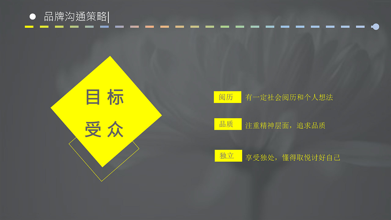 RIO创意营销策划案