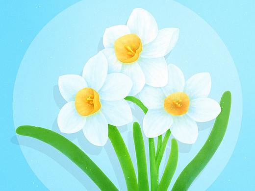 花好月圆插画之水仙花